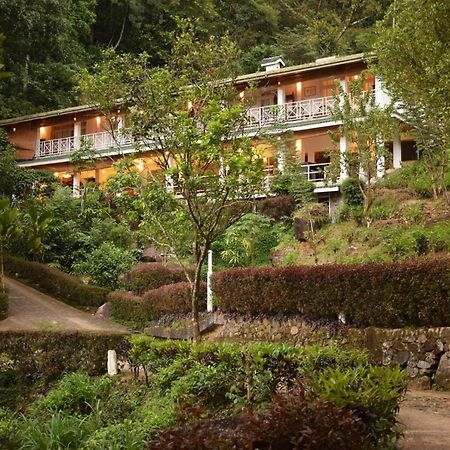 Forest Edge Hotel Ginigathena Exterior foto