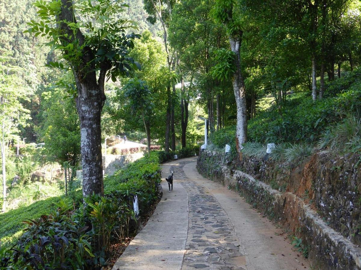Forest Edge Hotel Ginigathena Exterior foto